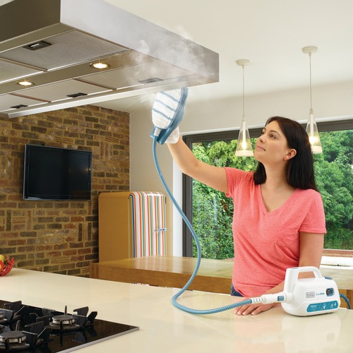 Black and Decker -   SteaMitt   - FSH10SMP