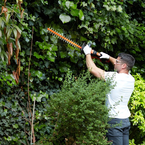 Black and Decker - 36V 55cm 2Ah  - GTC36552PC