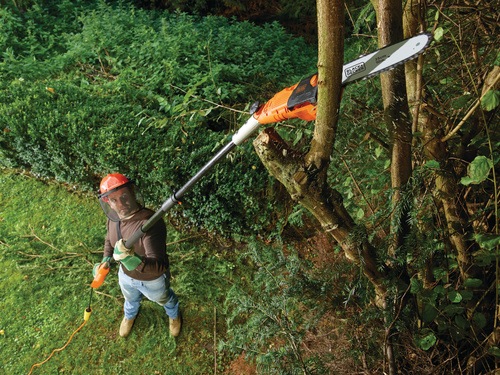 Black and Decker -   800W 25cm - PS7525