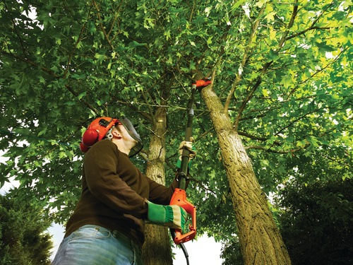 Black and Decker -   800W 25cm - PS7525