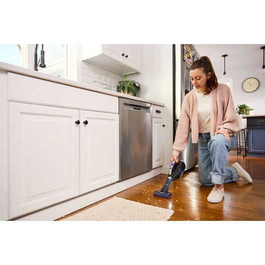 Cordless handheld vacuum cleaner with motorised pet brush attachment