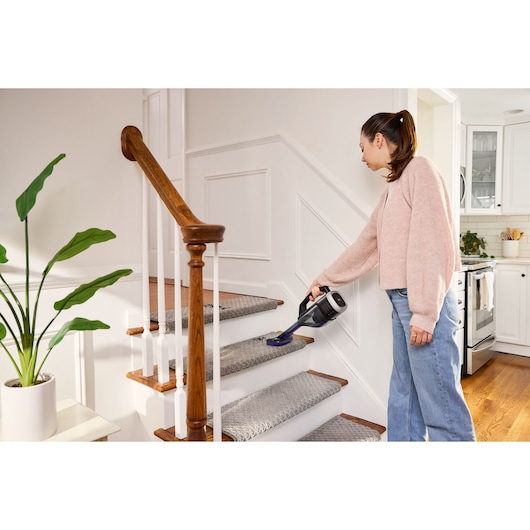 Cordless handheld vacuum cleaner with motorised pet brush attachment