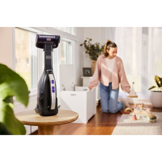 Cordless handheld vacuum cleaner with motorised pet brush attachment